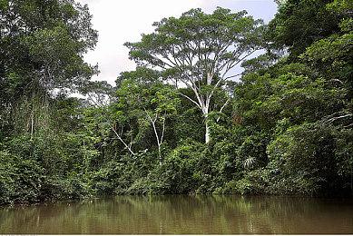 《黑暗之魂2》画质MOD发布 最大限度保留原版效果